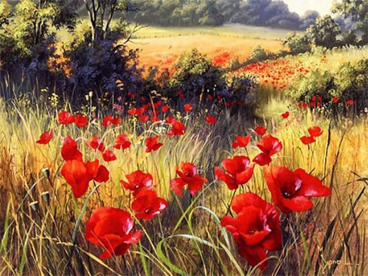 Coquelicots et Champ  Peinture par Numéros