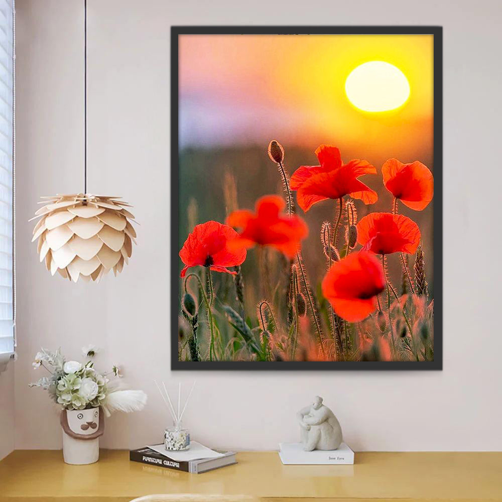 Coquelicots Rouges et le Soleil Peinture par Numéros