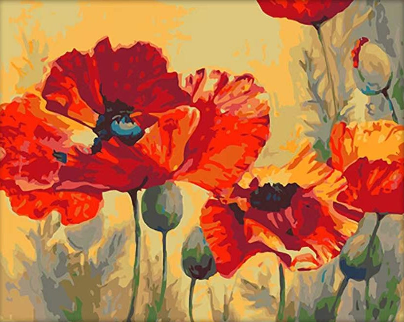 Coquelicots Roux Peinture par Numéros