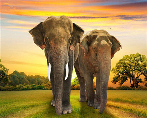 Couple d'Éléphant et Soleil Couchant Peinture par Numéros
