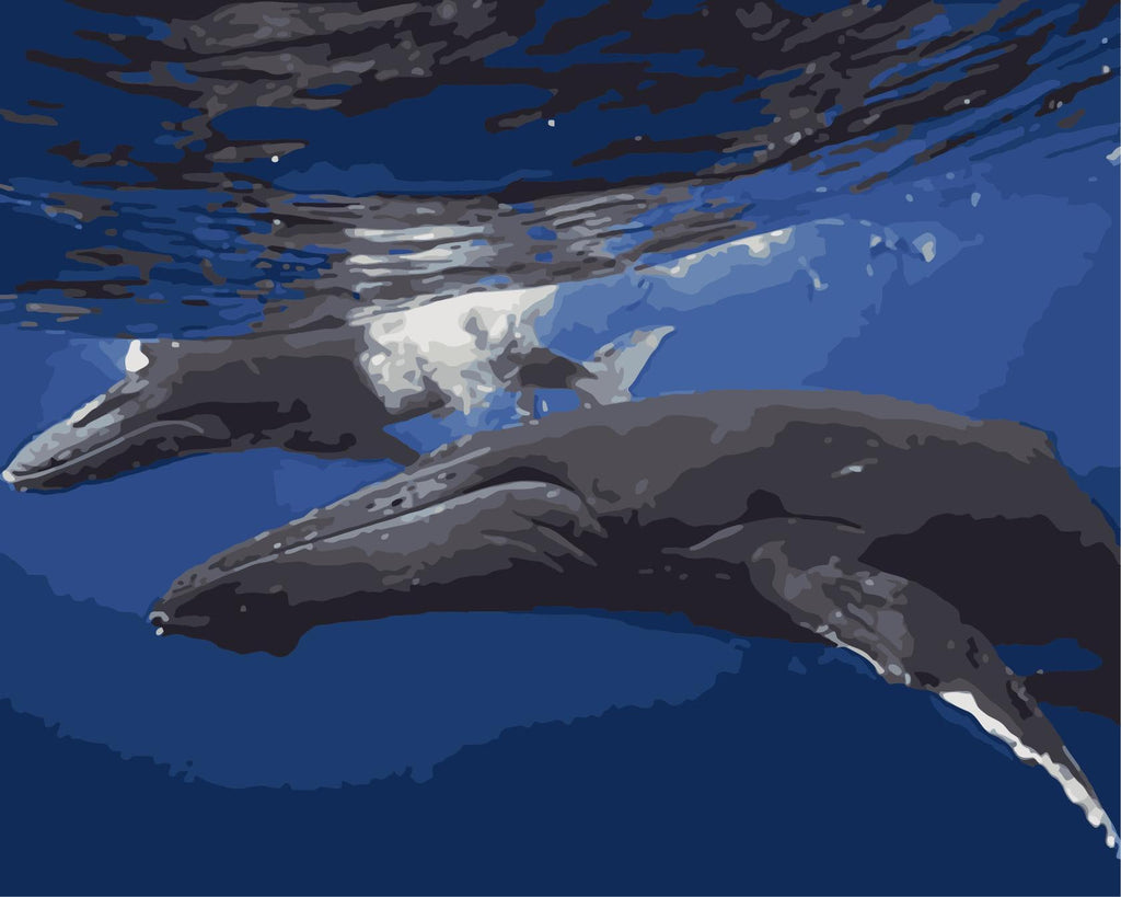 Couple de Baleines Peinture par Numéros