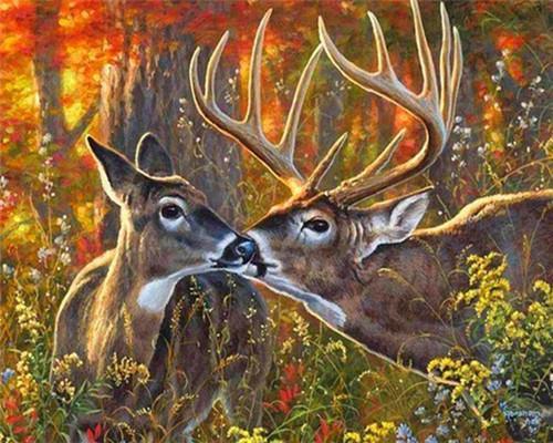Couple de Cerfs Aimant Peinture par Numéros