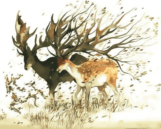 Couple de Cerfs Magnifique Peinture par Numéros