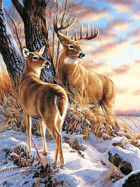 Couple de Cerfs Peinture par Numéros