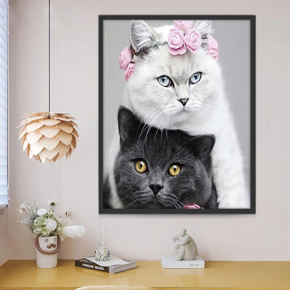 Couple de Chat Blanc et Chat Noir Peinture par Numéros