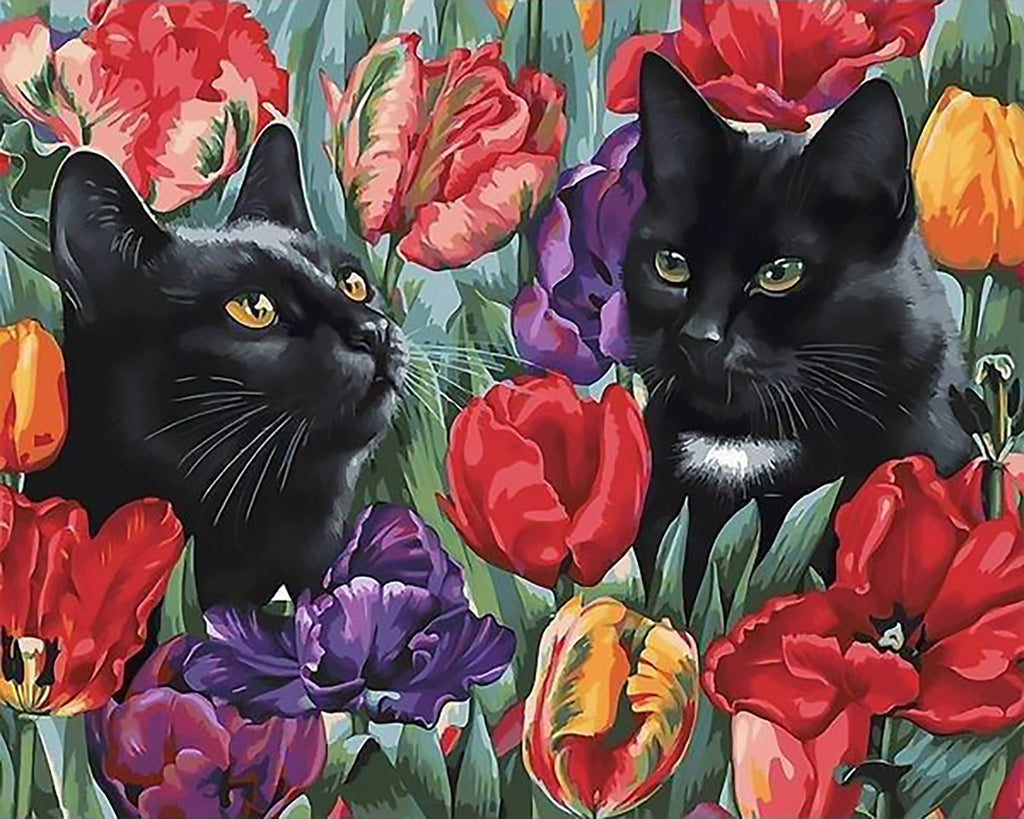Couple de Chat Noir dans les Tulipes Peinture par Numéros