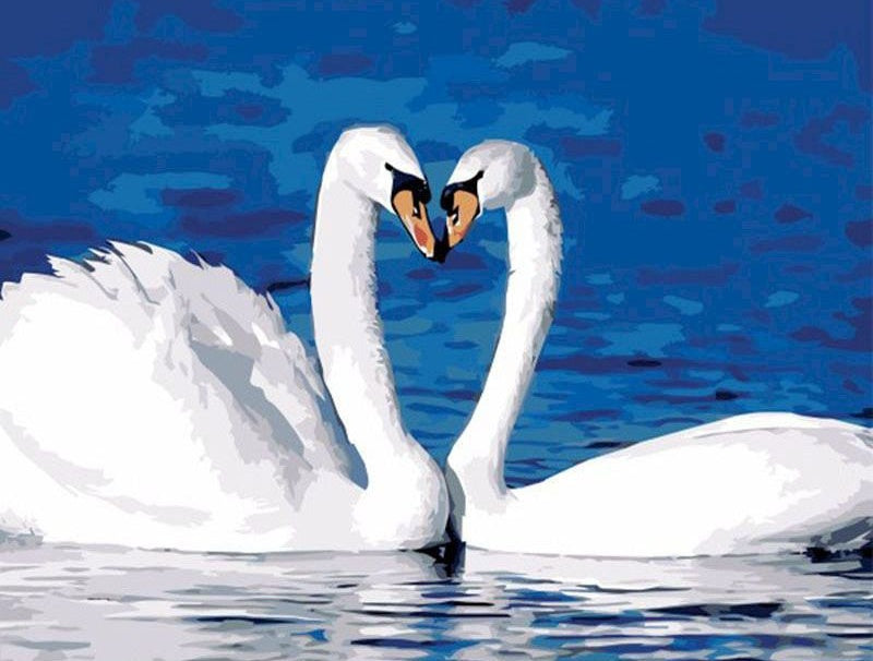 Couple de Cygne dans le Lac Peinture par Numéros