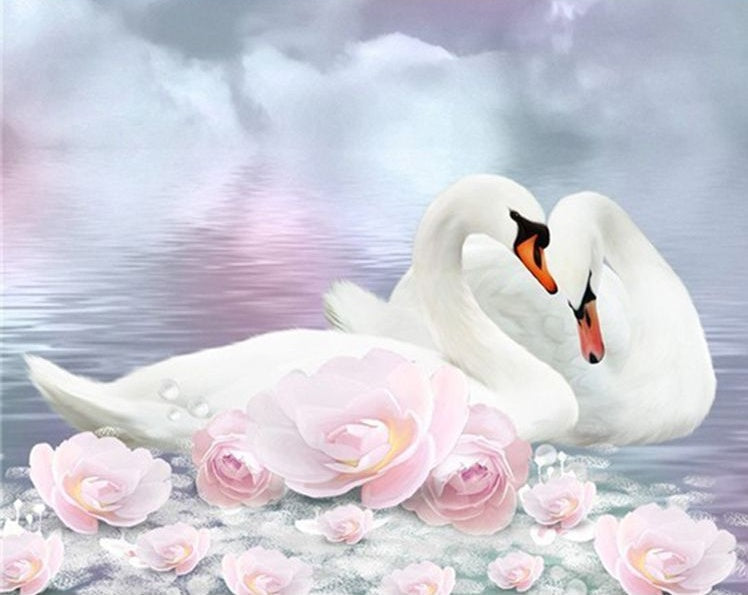 Couple de Cygnes et Roses Peinture par Numéros