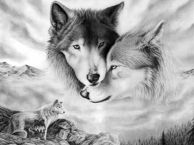 Couple de Loups Noirs et Blancs Peinture par Numéros