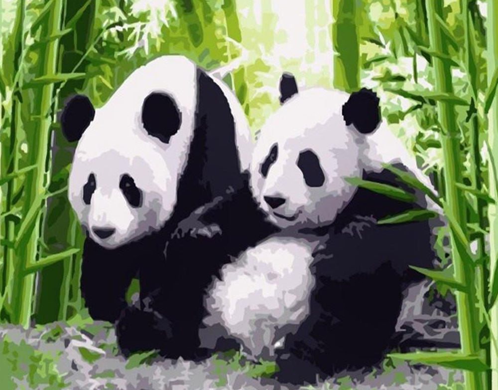Couple de Panda Peinture par Numéros