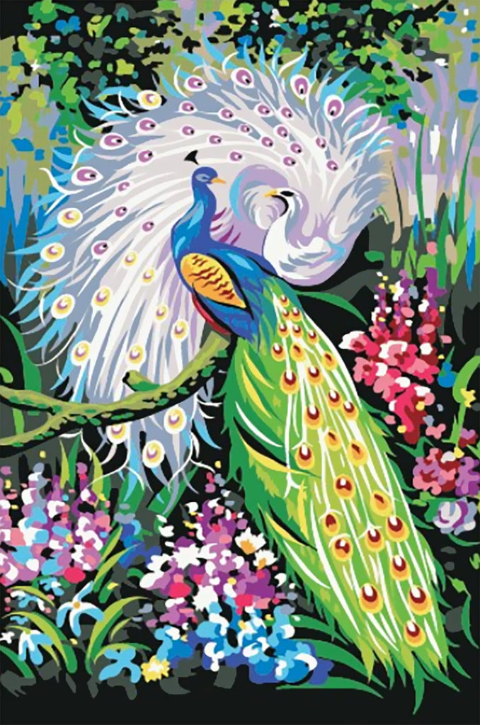 Couple de Paon Bleu et Paon Blanc Peinture par Numéros