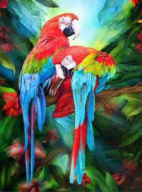 Couple de Perroquets Dessiné Peinture par Numéros