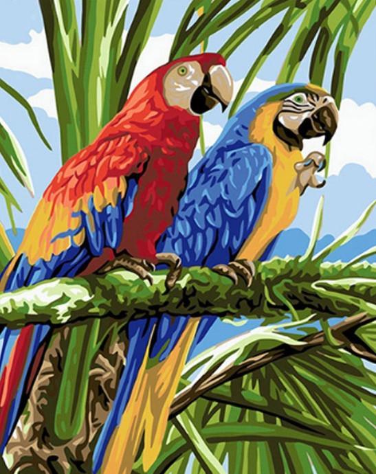 Couple de Perroquets sur la Branche Peinture par Numéros