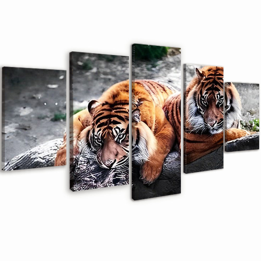 Couple de Tigre 5 Partie Peinture par Numéros