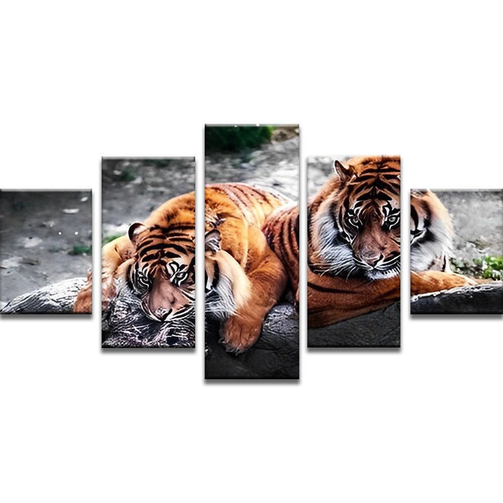Couple de Tigre 5 Partie Peinture par Numéros