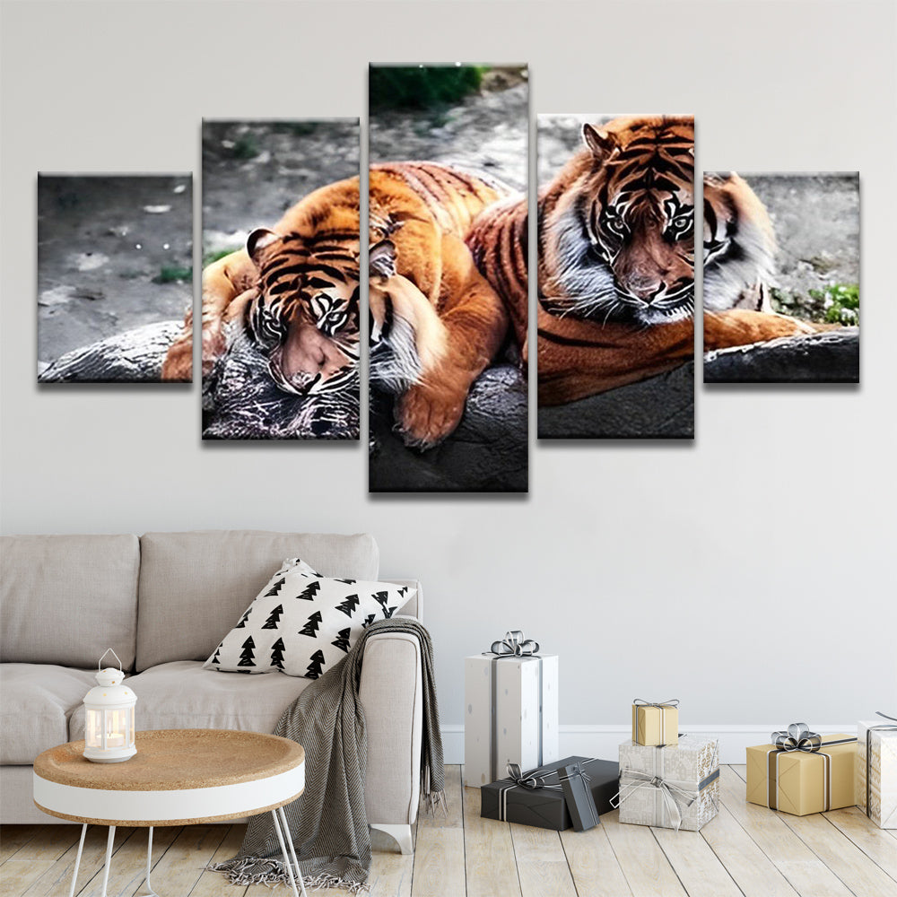 Couple de Tigre 5 Partie Peinture par Numéros