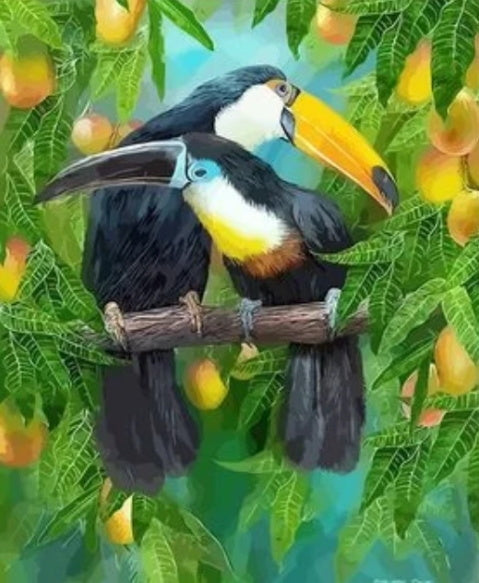 Couple de Toucans Peinture par Numéros
