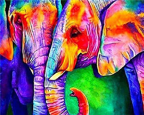 Couple d'Éléphants Colorés Peinture par Numéros