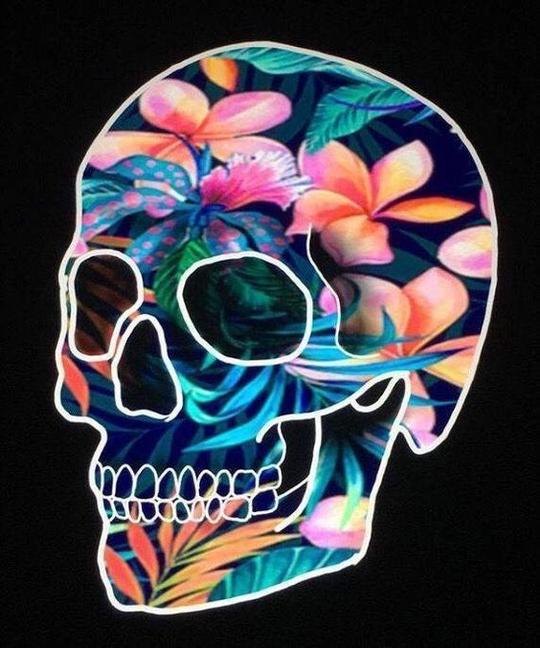 Crâne de Fleurs Peinture par Numéros