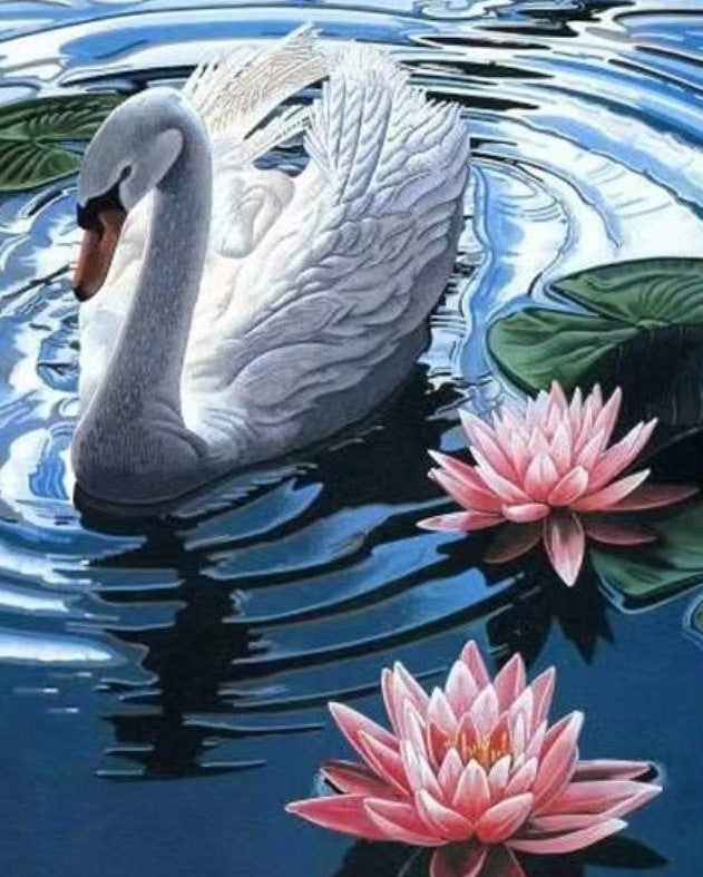 Cygne et Lotus Peinture par Numéros