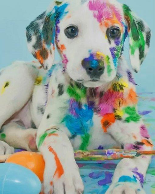 Dalmatien Chien Coloré Peinture par Numéros