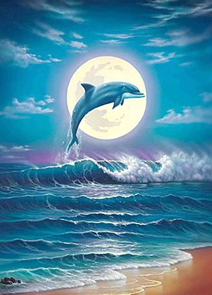 Dauphin et Lune Claire Peinture par Numéros