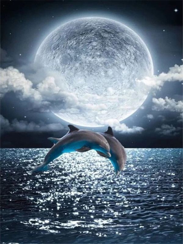 Dauphins et la Lune Peinture par Numéros