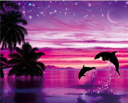Dauphins et le Ciel Rose Peinture par Numéros