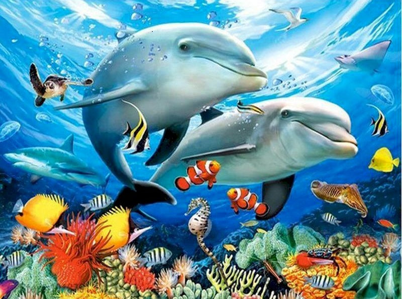 Dauphins et Poissons Peinture par Numéros