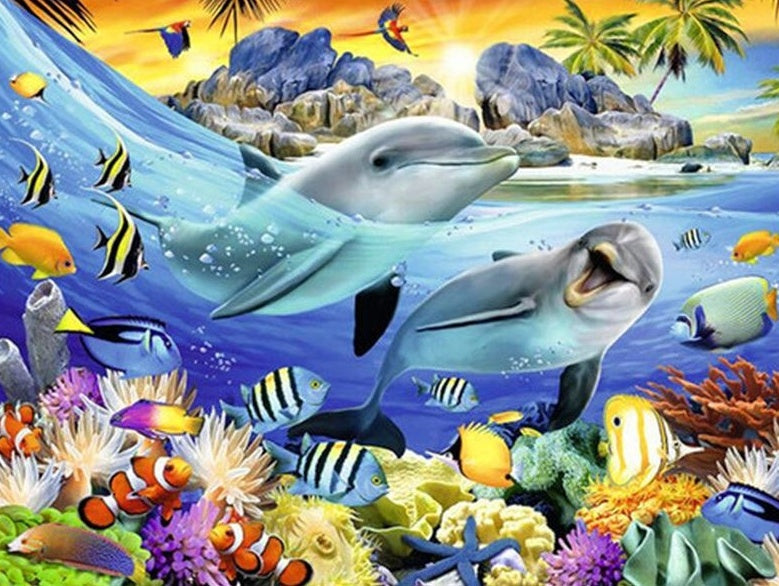 Dauphins Heureux Peinture par Numéros