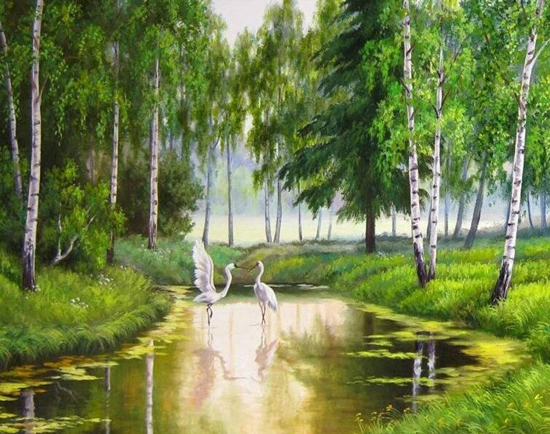 Deux Aigrettes Peinture par Numéros