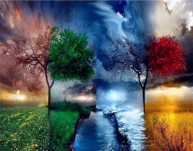 Deux Arbres Colorés Peinture par Numéros