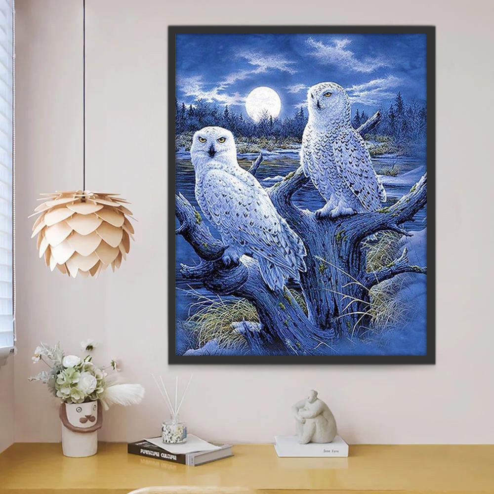 Deux Beaux Hiboux dans la Nuit Peinture par Numéros