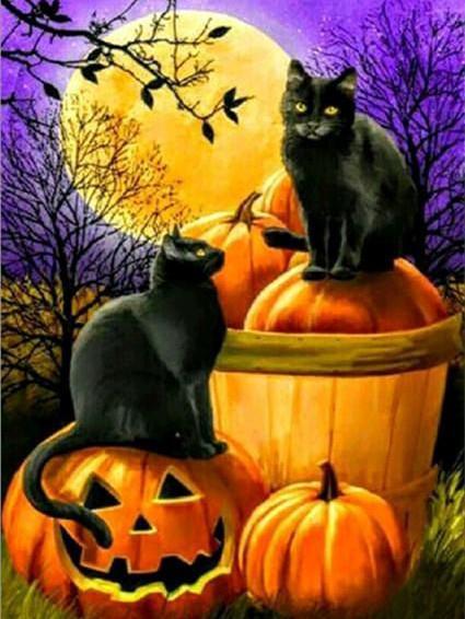 Deux Chats Noirs dans la Nuit Halloween Peinture par Numéros
