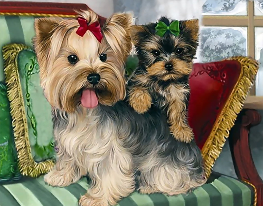 Deux Chiens sur le Canapé Peinture par Numéros