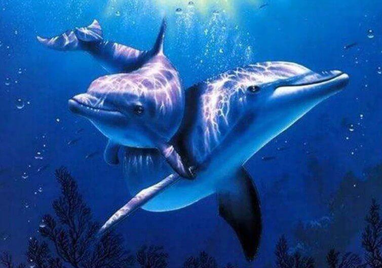 Deux Dauphins Peinture par Numéros