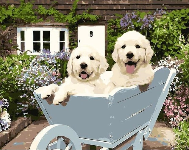Deux Golden Retriever dans la Brouette Peinture par Numéros