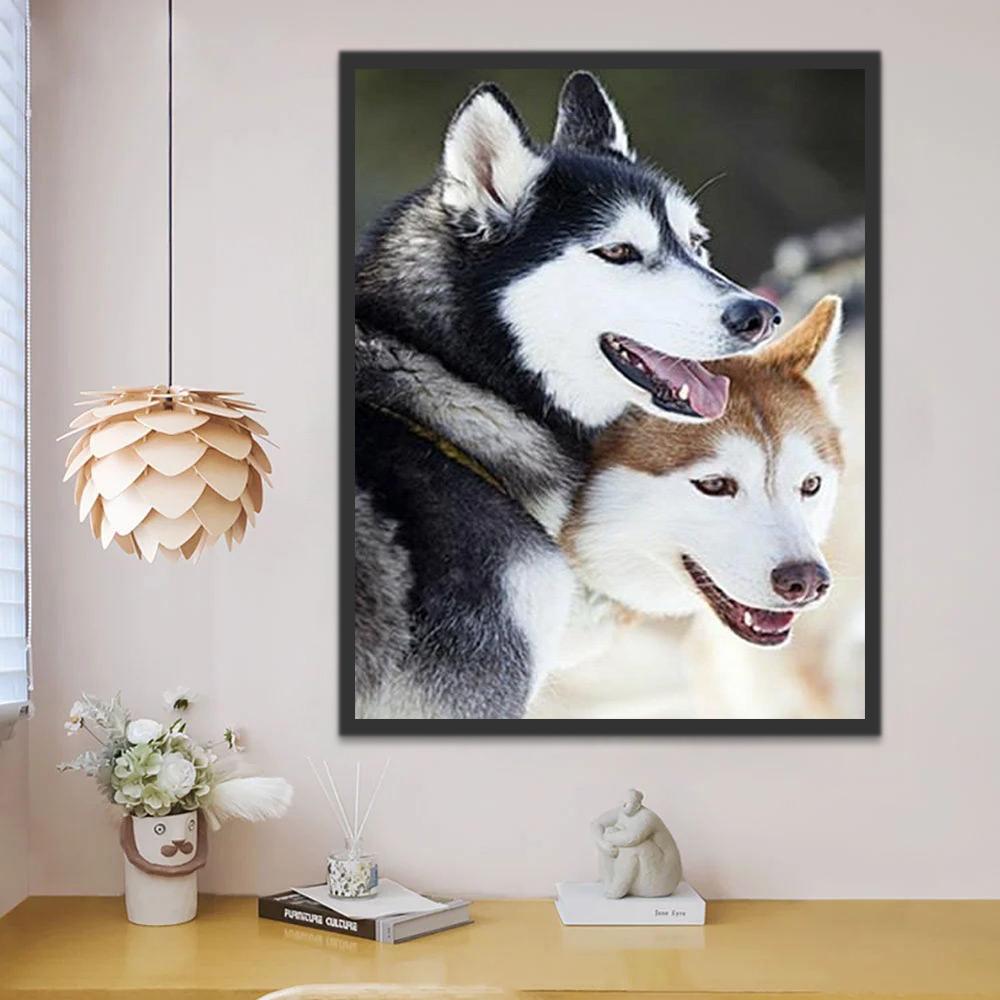 Deux Huskies Adorables Peinture par Numéros