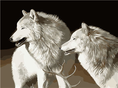 Deux Jolis Loups Blancs Peinture par Numéros