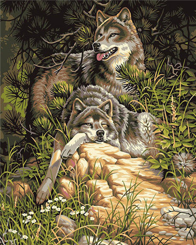 Deux Loups se Reposant dans la Forêt Peinture par Numéros