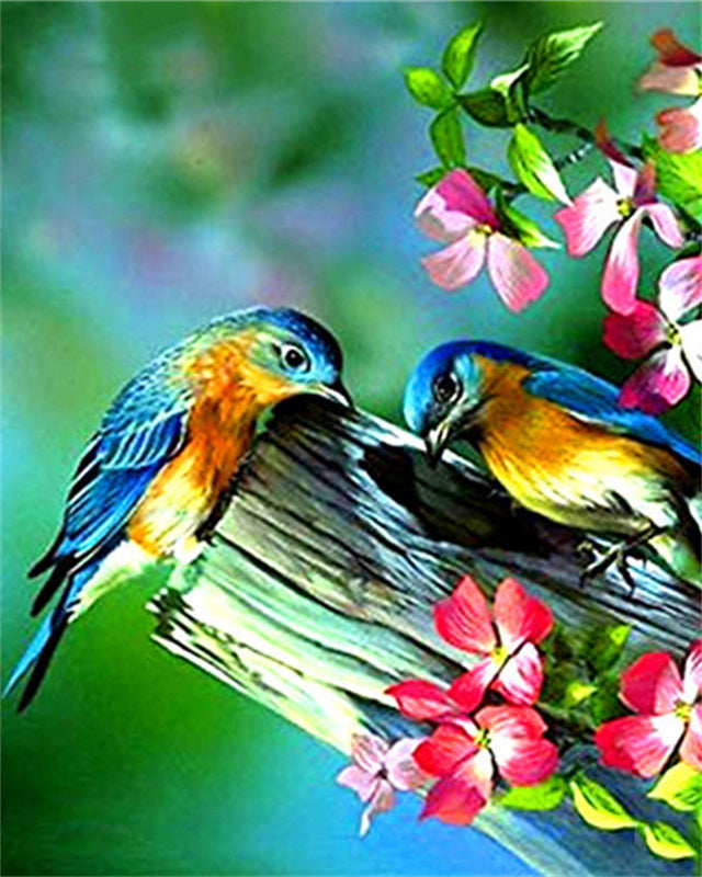 Deux Oiseaux Picorants Peinture par Numéros