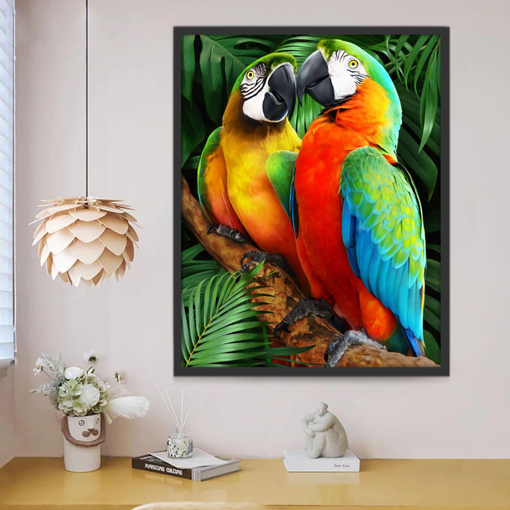 Deux Perroquets Jolis Peinture par Numéros
