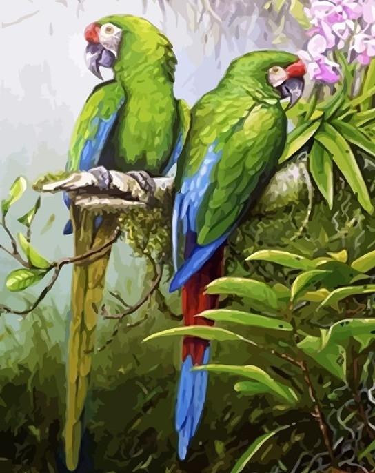 Deux Perroquets Verts Peinture par Numéros