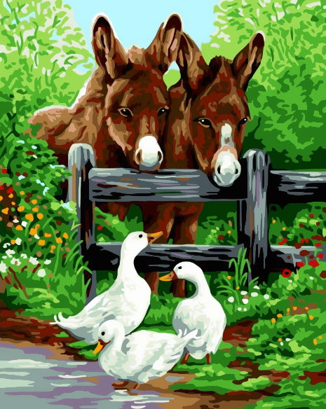 Deux Petits Anes et Canards Peinture par Numéros