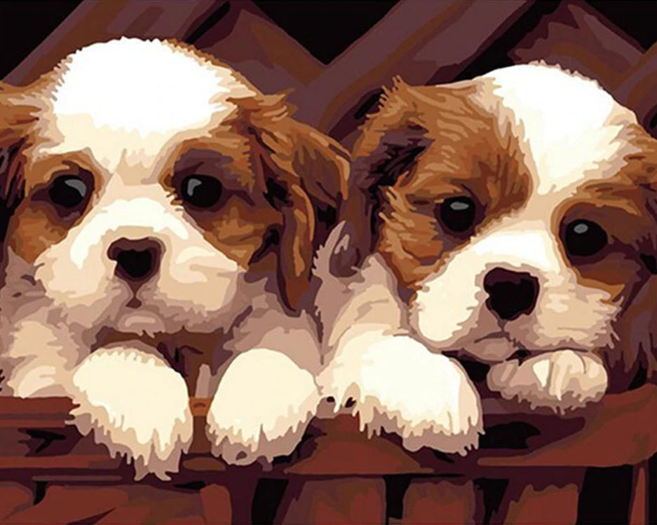 Deux Petits Cavaliers King Charles Spaniel Peinture par Numéros