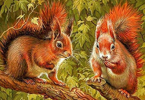 Deux Petits Écureuils Peinture par Numéros