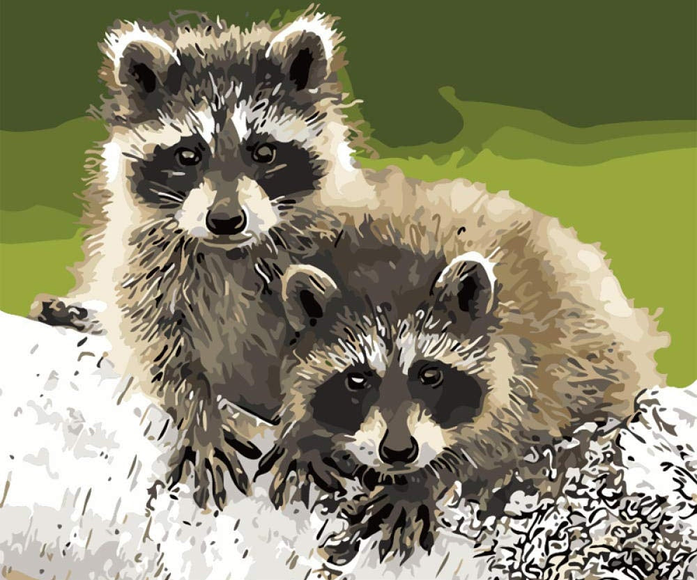 Deux Petits Racoons Peinture par Numéros