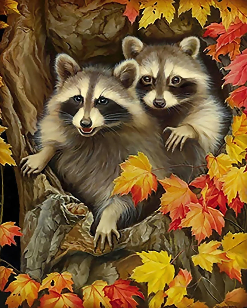 Deux Racoons Peinture par Numéros