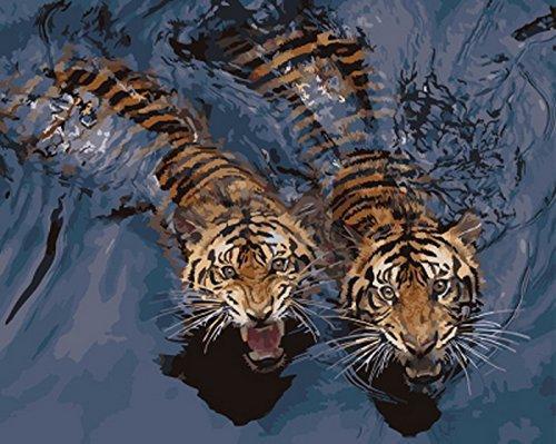 Deux Tigres Nageant Peinture par Numéros