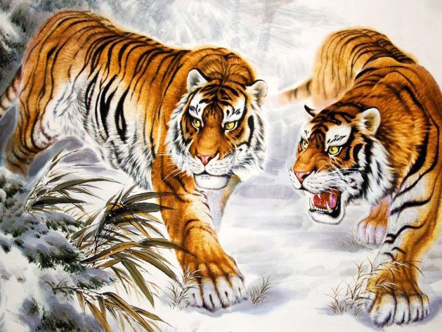 Deux Tigres Roux Peinture par Numéros